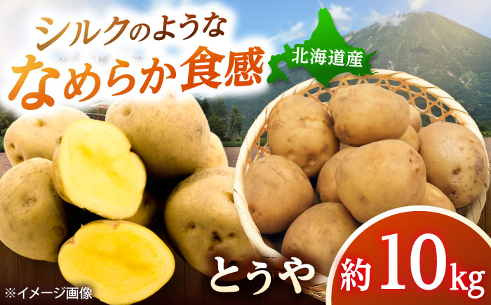 【2026年10月上旬以降順次発送】 じゃがいも とうや 10kg  |  じゃがいも とうや 野菜 やさい 北海道 産地直送 |  道の駅 真狩フラワーセンター [BPAM023]