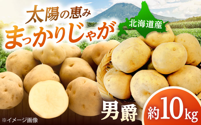 【2026年10月中旬以降順次発送】 じゃがいも 男爵（まっかりじゃが）10kg | じゃがいも ジャガイモ 男爵 男爵芋 野菜 北海道 産地直送 | 道の駅 真狩フラワーセンター [BPAM024]