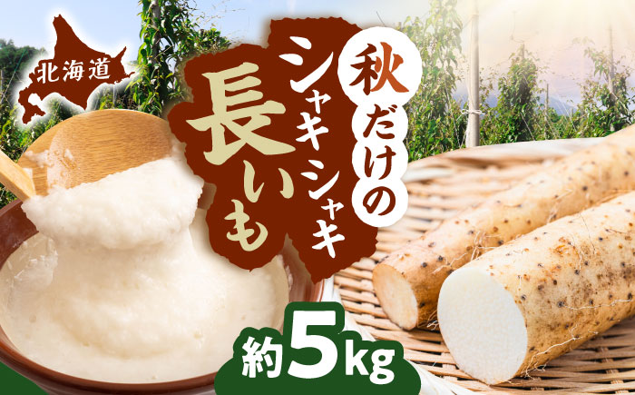 【2026年11月下旬以降順次発送】秋掘り 長いも 5kg  |  長いも 秋野菜 野菜 やさい 北海道 産地直送 |  道の駅 真狩フラワーセンター [BPAM026]