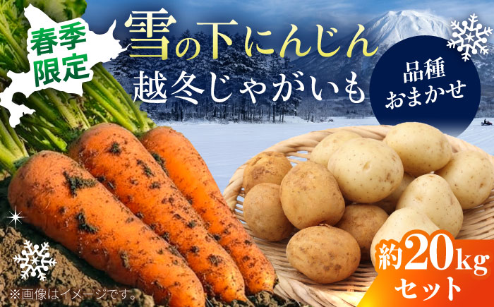 【2026年3月下旬以降順次発送】 雪の下にんじんと越冬じゃがいもセット 計20kg （じゃがいも種類おまかせ） |  野菜セット 野菜 野菜詰め合わせ セット にんじん じゃがいも |  道の駅 真狩フラワーセンター [BPAM031]