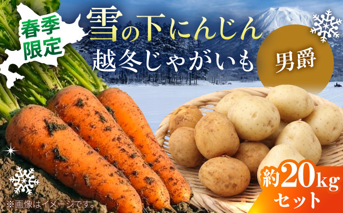 【2026年3月下旬以降順次発送】 雪の下にんじんと越冬じゃがいもセット 計20kg（男爵）|  野菜セット 野菜 セット にんじん じゃがいも  |  道の駅 真狩フラワーセンター [BPAM032]