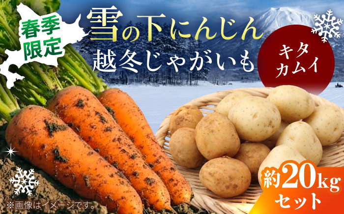 【2026年3月下旬以降順次発送】 雪の下にんじんと越冬じゃがいもセット 計20kg  (キタカムイ)  | 野菜セット 野菜 セット にんじん じゃがいも  |  道の駅 真狩フラワーセンター [BPAM033]