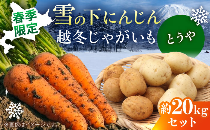 【2026年3月下旬以降順次発送】 雪の下にんじんと越冬じゃがいもセット 計20kg （とうや）|  野菜セット 野菜 セット にんじん じゃがいも  |  道の駅 真狩フラワーセンター [BPAM034]