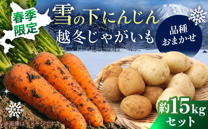 【2026年3月下旬以降順次発送】 雪の下にんじんと越冬じゃがいもセット 計15kg（じゃがいも種類おまかせ）|  野菜セット 野菜 セット にんじん じゃがいも  |  道の駅 真狩フラワーセンター [BPAM035]