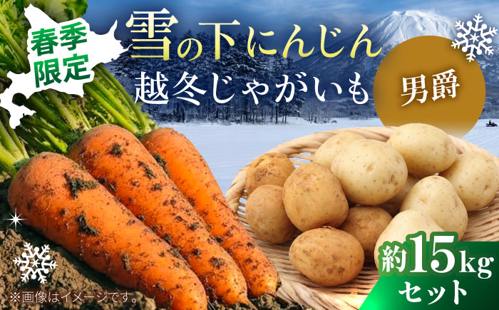 【2026年3月下旬以降順次発送】 雪の下にんじんと越冬じゃがいもセット 計15kg（男爵）| 野菜セット 野菜 セット にんじん じゃがいも  |  道の駅 真狩フラワーセンター [BPAM036]