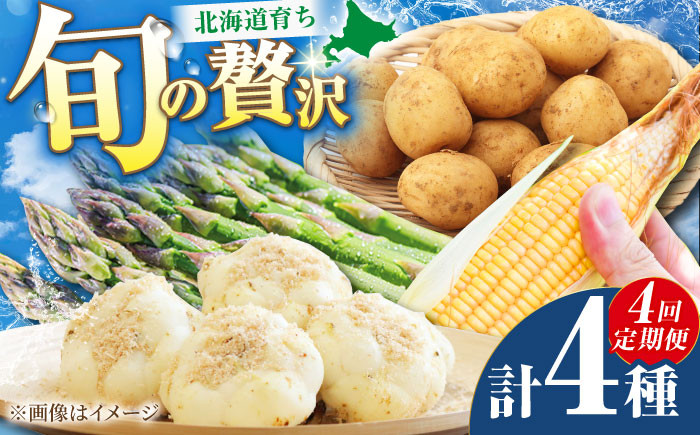 【2026年5月中旬以降順次発送】 【全4回定期便】 まっかり四季の恵みセット ミニセット (アスパラ・とうもろこし・じゃがいも・ゆり根）| 野菜 野菜セット アスパラガス とうもろこし コーン ゆり根 じゃがいも 北海道 | 道の駅 真狩フラワーセンター [BPAM046]