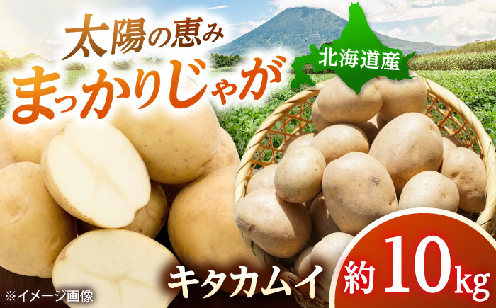 【2026年11月上旬以降順次発送】 じゃがいも キタカムイ（まっかりじゃが）10kg | 野菜 じゃがいも ジャガイモ キタカムイ 北海道 産地直送 | 道の駅 真狩フラワーセンター [BPAM047]