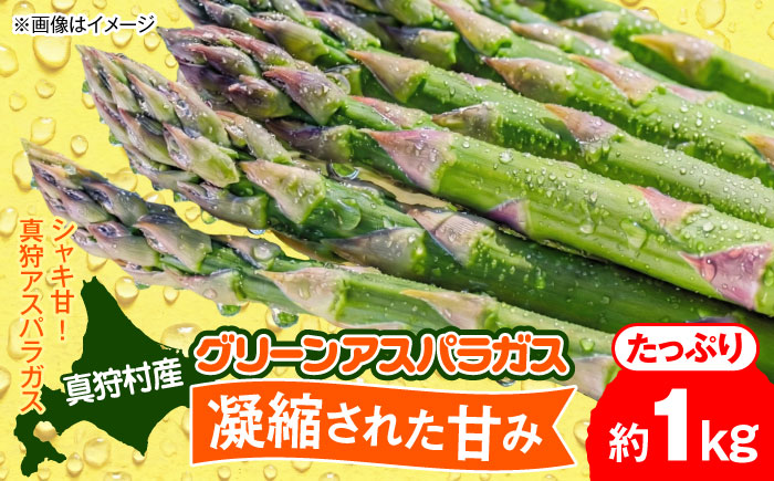 【2026年5月下旬以降順次発送】 グリーンアスパラ 1kg | 野菜 アスパラ アスパラガス やさい 北海道 産地直送 | 道の駅 真狩フラワーセンター [BPAM049]