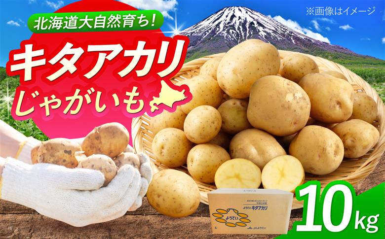 じゃがいも キタアカリ 10kg | じゃがいも ジャガイモ キタアカリ 野菜 季節の野菜 北海道 産地直送 先行予約 | 株式会社Aコープようてい [BPAT005]