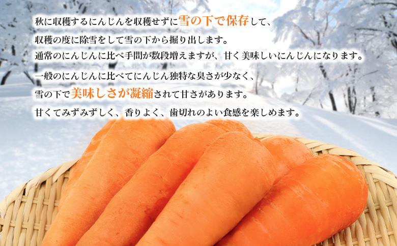 【先行予約】（生産者直送）玉手農場産雪下ニンジン5kg【1200801】