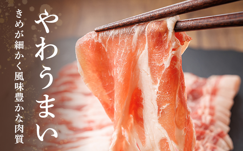 ルスツ豚詰め合わせ　約1kg【1400101】