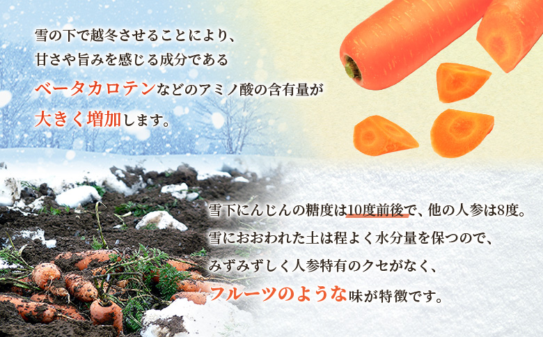 雪下にんじん 10kg【2400501】