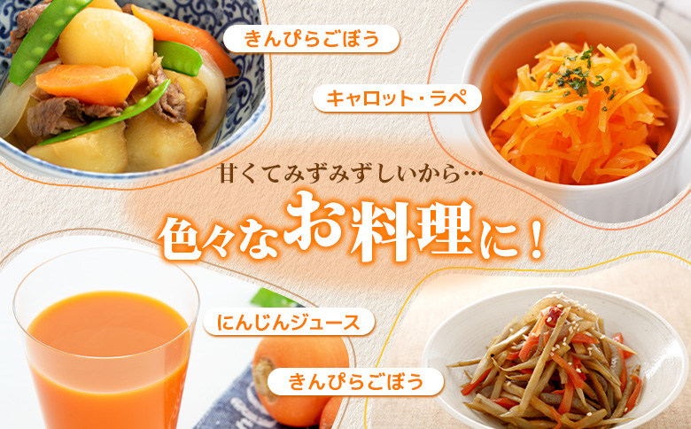 【先行予約】（生産者直送）玉手農場産雪下ニンジン5kg【1200801】