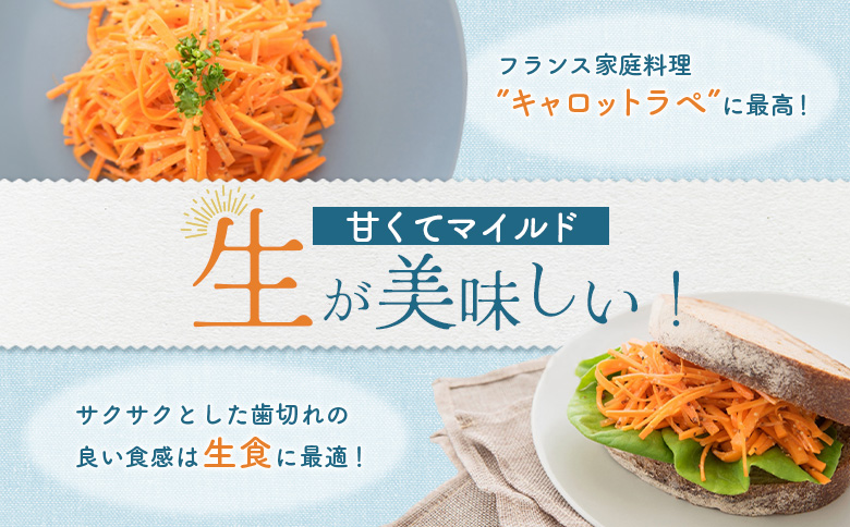 雪下にんじん 10kg【2400501】