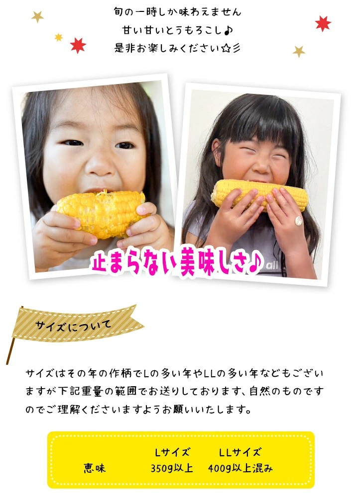 【令和8年産先行予約】朝採りとうもろこし 恵味ゴールド L-LLサイズ 10本【27001】