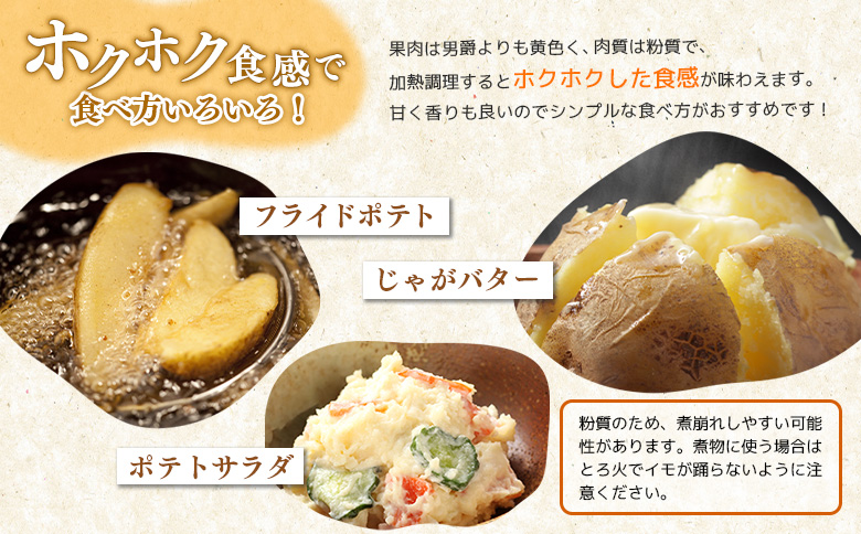 【先行予約】（生産者直送）じゃがいもVIP（キタアカリ）5kg【12002】