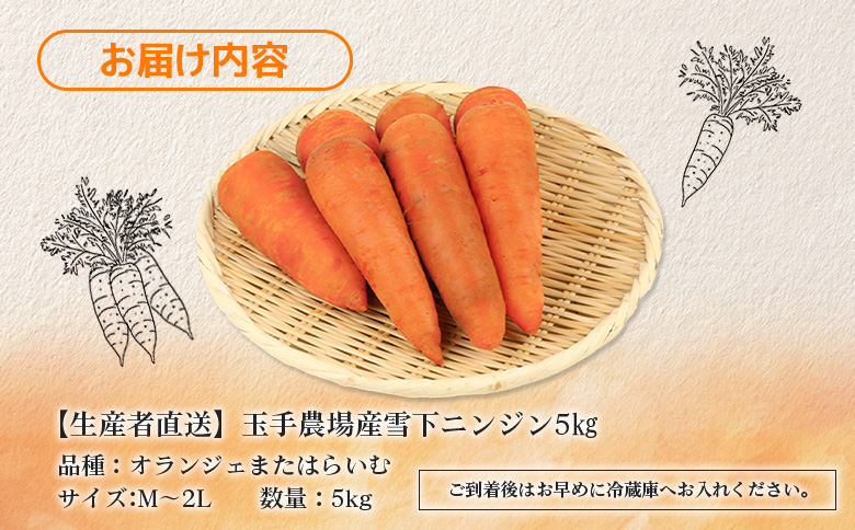 【先行予約】（生産者直送）玉手農場産雪下ニンジン5kg【1200801】