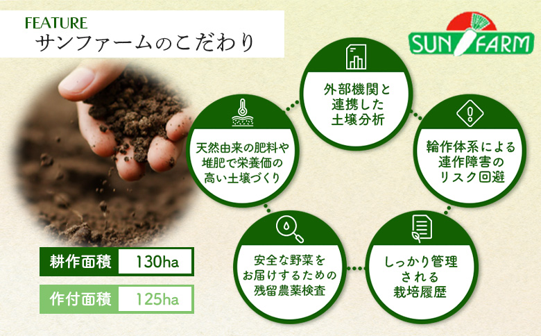 雪下にんじん 10kg【2400501】