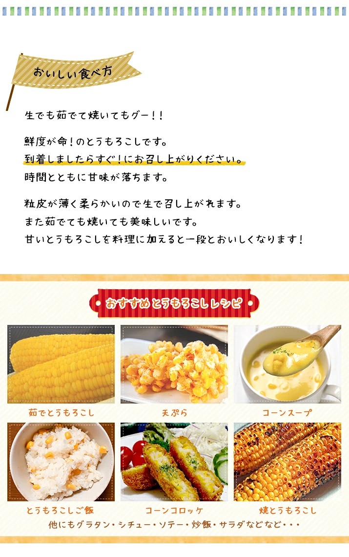 【令和8年産先行予約】朝採りとうもろこし 恵味ゴールド L-LLサイズ 10本【27001】