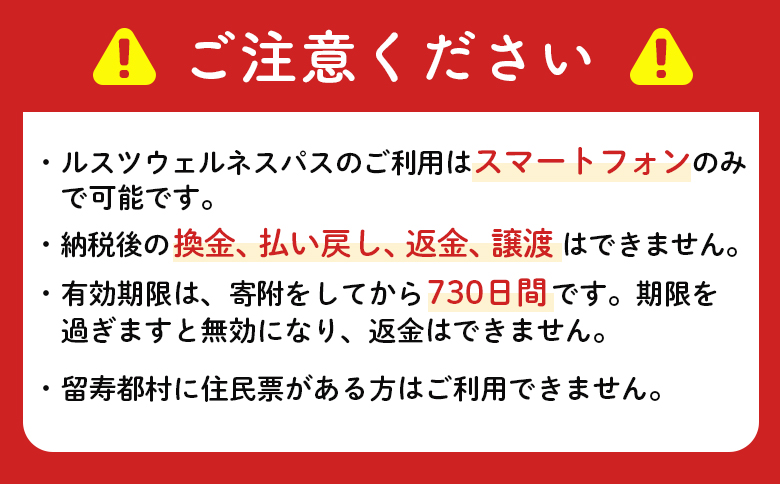 【ANAの旅先納税】留寿都村e街ギフト ルスツウェルネスパス 3,000円分【99002】 3,000円