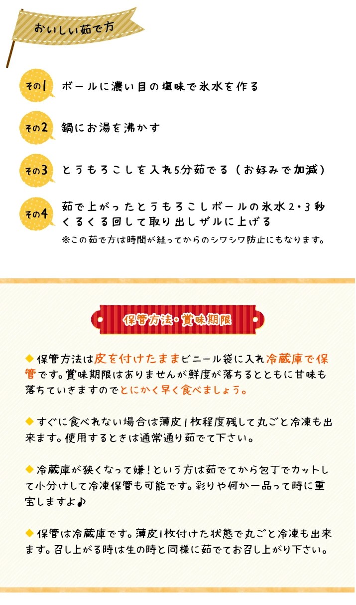 【令和8年産先行予約】朝採りとうもろこし 恵味ゴールド L-LLサイズ 10本【27001】