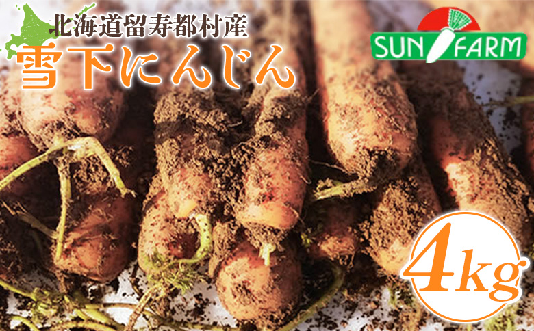雪下にんじん 4kg【2400401】