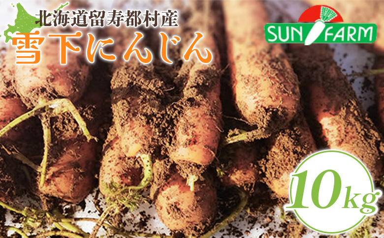 雪下にんじん 10kg【2400501】