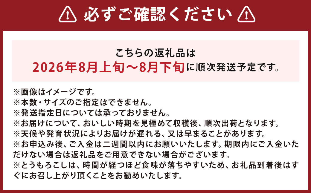 北海道産 とうもろこし 恵味 2Lサイズ 22本 約8kg 1箱 国産 トウモロコシ 冷蔵 【2026年8月上旬-8月下旬迄発送予定】