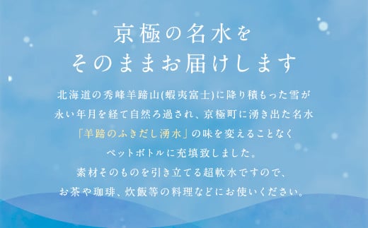 【12回定期便】羊蹄のふきだし湧水 「京極の名水」 2L×12本 （1ケース） 軟水 水 みず ペットボトル 国産 定期便 北海道 京極町