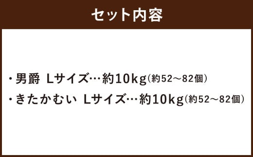 じゃがいも 男爵 きたかむい Lサイズ 各約10kg×1箱 計約20kg （JA） ジャガイモ 芋 いも イモ 食べ比べ 食べくらべ セット 国産 【2026年1月上旬-2月下旬迄発送予定】