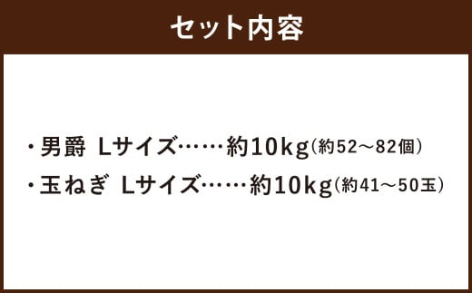 じゃがいも 男爵 Lサイズ 約10kg×1箱・玉ねぎ L大サイズ 約10kg×1箱 （JA） 計約20kg セット ジャガイモ 芋 いも イモ 玉葱 タマネギ たまねぎ 詰め合わせ 詰合せ 国産 【2025年11月上旬-12月下旬迄発送予定】