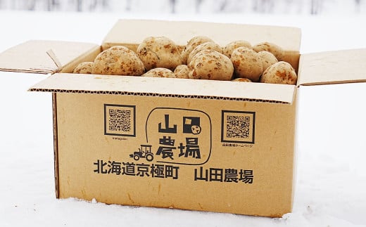 【訳あり】北海道産 じゃがいも キタアカリ M～2Lサイズ混載 約10kg 1箱 山田農場 ジャガイモ 芋 いも イモ 訳アリ わけあり ワケアリ 国産 【2026年9月下旬-2027年1月上旬迄発送予定】