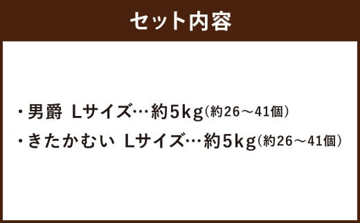 じゃがいも 男爵 きたかむい Lサイズ 各約5kg×1箱 計約10kg （JA） ジャガイモ 芋 いも イモ 食べ比べ 食べくらべ セット 国産 【2026年1月上旬-2月下旬迄発送予定】