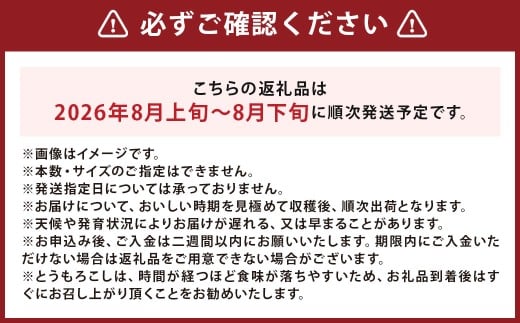 北海道産 とうもろこし 恵味 2Lサイズ 11本 約4kg 1箱 国産 トウモロコシ 冷蔵 【2026年8月上旬-8月下旬迄発送予定】