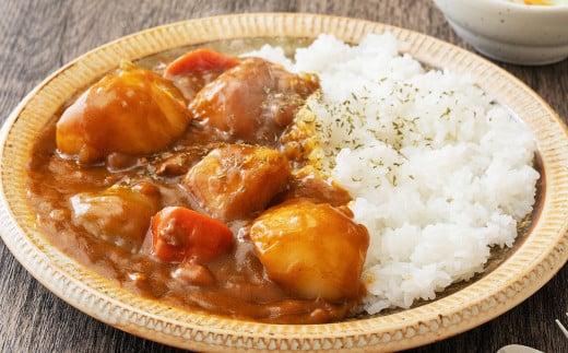 じゃがいも きたかむい Lサイズ 約10kg×1箱 計約10kg （JA） ジャガイモ 芋 いも イモ 国産 【2026年1月上旬-2月下旬迄発送予定】