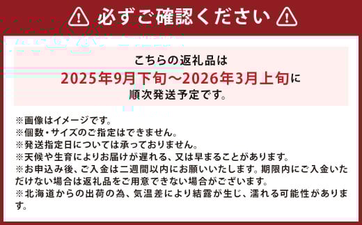 【訳あり】北海道産 じゃがいも 男爵 M～2Lサイズ混載 約20kg 1箱 山田農場 ジャガイモ 芋 いも イモ 訳アリ わけあり ワケアリ 国産 【2025年9月下旬-2026年3月上旬迄発送予定】