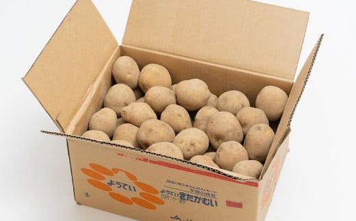 じゃがいも きたかむい Lサイズ 約10kg×1箱 計約10kg （JA） ジャガイモ 芋 いも イモ 国産 【2026年1月上旬-2月下旬迄発送予定】