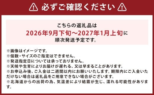 【訳あり】北海道産 じゃがいも 男爵 M～2Lサイズ混載 約10kg 1箱 山田農場 ジャガイモ 芋 いも イモ 訳アリ わけあり ワケアリ 国産 【2026年9月下旬-2027年1月上旬迄発送予定】