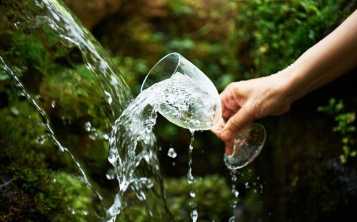 自家焙煎ネル濾し 【水出し珈琲】 720ml×2本 ［名水の郷 北海道京極町］ 布フィルター フランネル アイスコーヒー コーヒー 珈琲 自家焙煎 深煎 常温