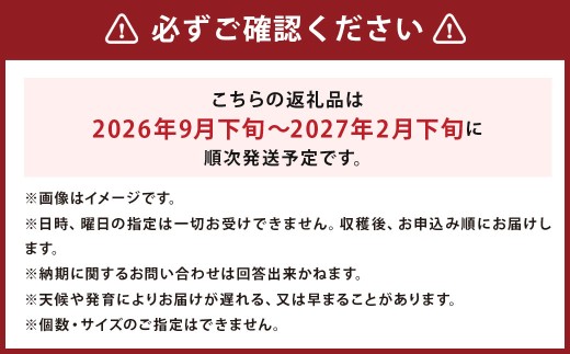 じゃがいも（男爵） Lサイズ 約5kg×1箱 約5kg（JA）