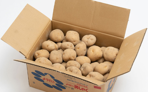 じゃがいも 男爵 Lサイズ 約10kg×2箱 計約20kg （JA） ジャガイモ 芋 いも イモ 国産 【2025年9月下旬-2026年2月下旬迄発送予定】