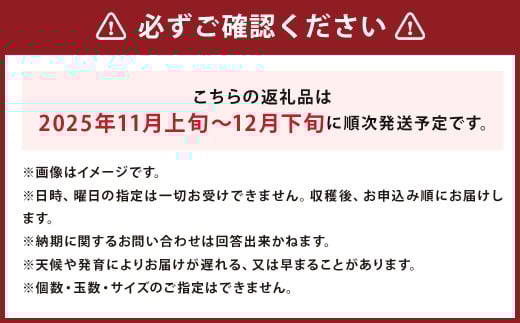 じゃがいも 男爵 Lサイズ 約10kg×1箱・玉ねぎ L大サイズ 約10kg×1箱 （JA） 計約20kg セット ジャガイモ 芋 いも イモ 玉葱 タマネギ たまねぎ 詰め合わせ 詰合せ 国産 【2025年11月上旬-12月下旬迄発送予定】