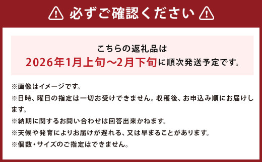 じゃがいも 男爵 きたかむい Lサイズ 各約10kg×1箱 計約20kg （JA） ジャガイモ 芋 いも イモ 食べ比べ 食べくらべ セット 国産 【2026年1月上旬-2月下旬迄発送予定】