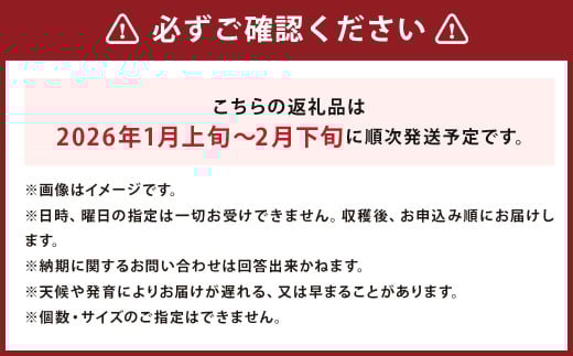 じゃがいも 男爵 きたかむい Lサイズ 各約5kg×1箱 計約10kg （JA） ジャガイモ 芋 いも イモ 食べ比べ 食べくらべ セット 国産 【2026年1月上旬-2月下旬迄発送予定】