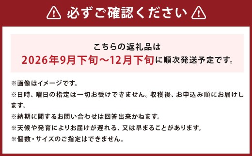 じゃがいも 男爵 キタアカリ Lサイズ 各約5kg×1箱 計約10kg （JA）