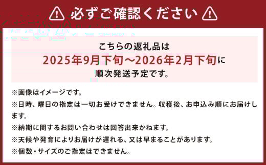 じゃがいも 男爵 Lサイズ 約10kg×2箱 計約20kg （JA） ジャガイモ 芋 いも イモ 国産 【2025年9月下旬-2026年2月下旬迄発送予定】