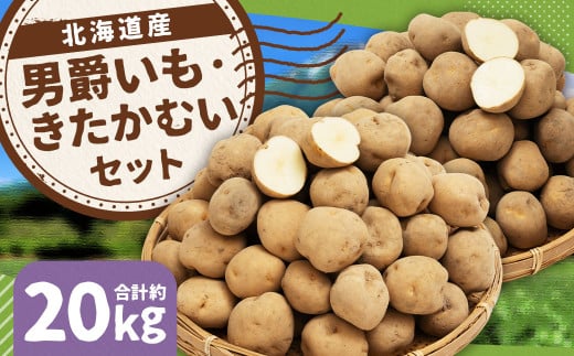 じゃがいも 男爵 きたかむい Lサイズ 各約10kg×1箱 計約20kg （JA） ジャガイモ 芋 いも イモ 食べ比べ 食べくらべ セット 国産 【2026年1月上旬-2月下旬迄発送予定】