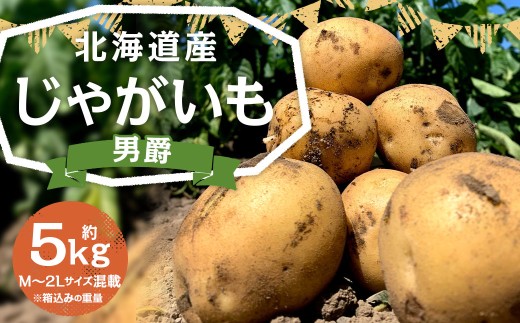 北海道産 じゃがいも 男爵 M～2Lサイズ混載 約5kg 1箱 山田農場 ジャガイモ 芋 いも イモ 国産 【2026年9月下旬-2027年1月上旬迄発送予定】