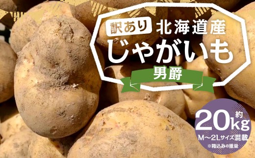 【訳あり】北海道産 じゃがいも 男爵 M～2Lサイズ混載 約20kg 1箱 山田農場 ジャガイモ 芋 いも イモ 訳アリ わけあり ワケアリ 国産 【2026年9月下旬-2027年1月上旬迄発送予定】