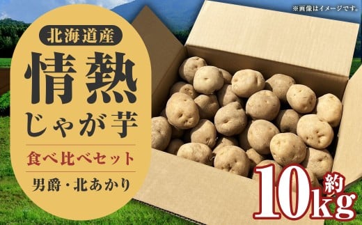 情熱じゃがいも（男爵・キタアカリ）食べ比べセット 10kg 【2026年10月上旬～2026年12月上旬迄発送予定】 じゃがいも ジャガイモ 男爵 キタアカリ 10kg 食べ比べ 野菜 ポテト 北海道